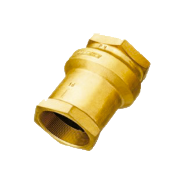 VÁLVULA-DE-RETENÇÃO-VERTICAL-O'RING